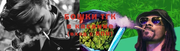 дживик Балахна