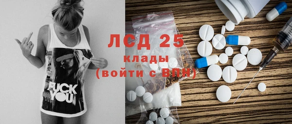 мяу мяу мука Баксан