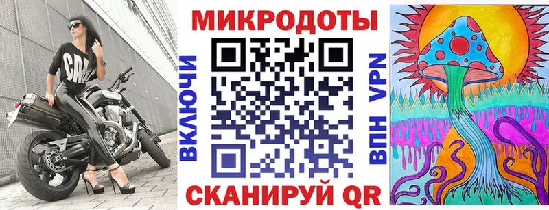 Псилоцибиновые грибы Psilocybe Нелидово