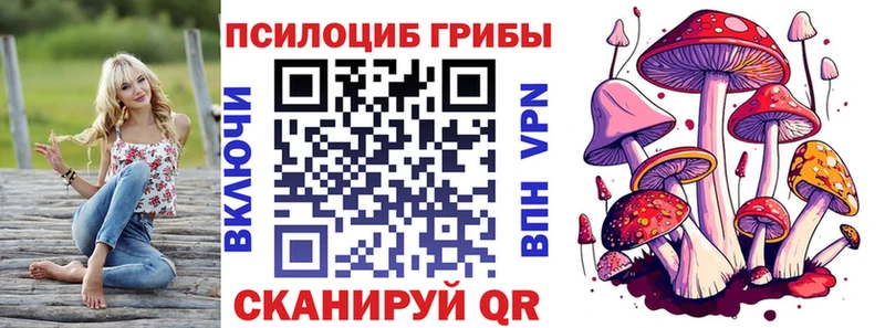OMG ссылка  Нелидово  Галлюциногенные грибы мицелий  наркошоп 